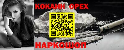 гашик Будённовск