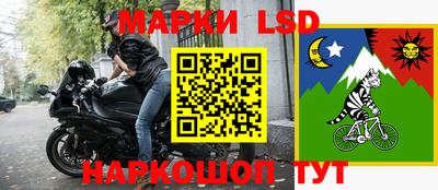 гашик Будённовск