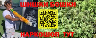 гашик Будённовск