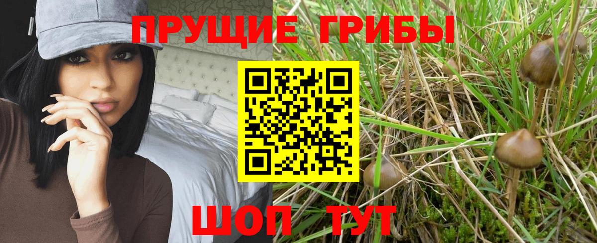 Орёл  Псилоцибиновые грибы прущие грибы  Вход с VPN 